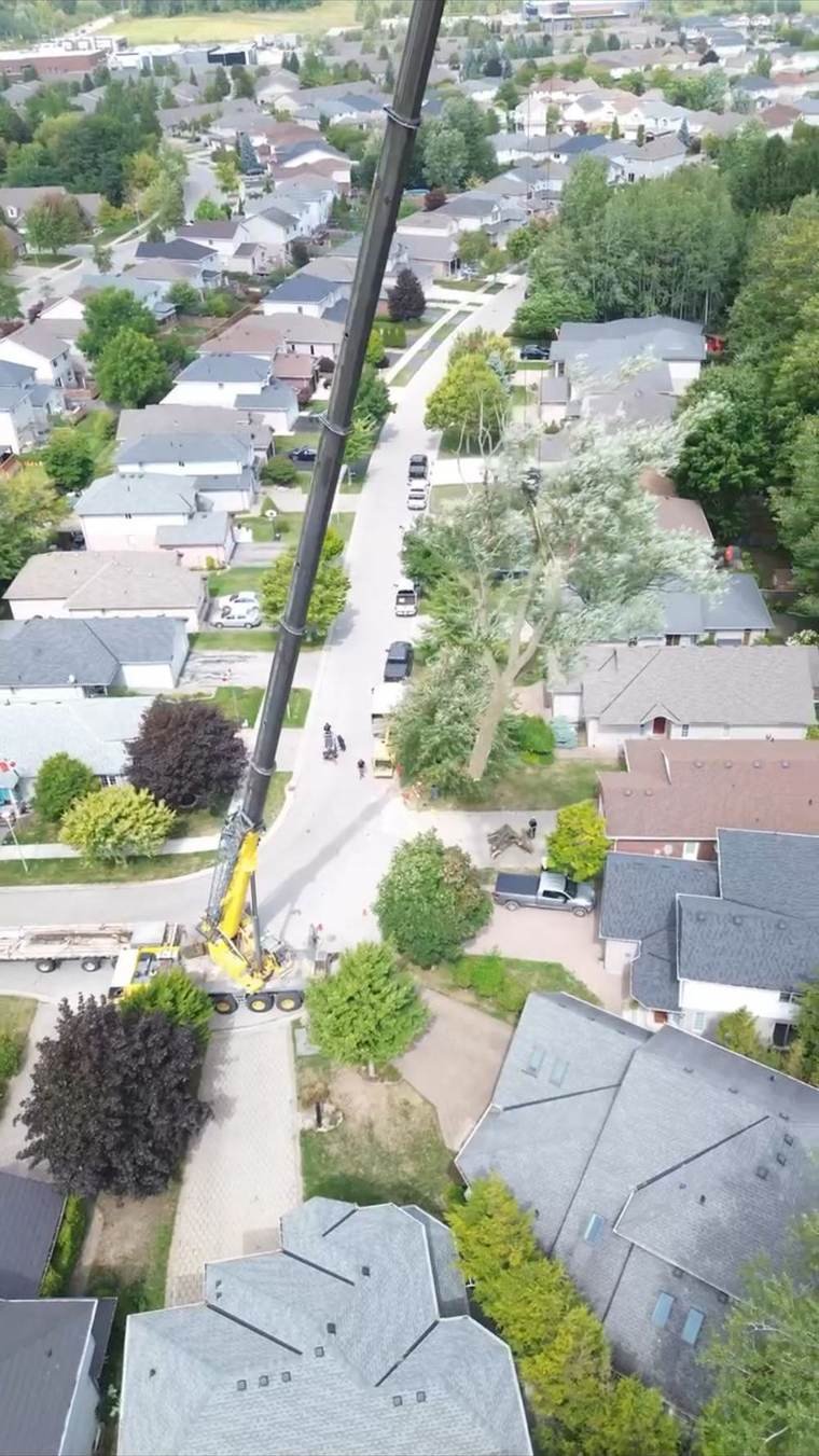 Crane truck positioned on a residential street for a tree removal